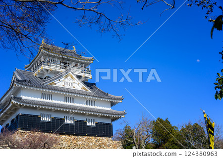 Gifu Castle 124380963