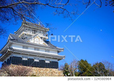 Gifu Castle 124380964