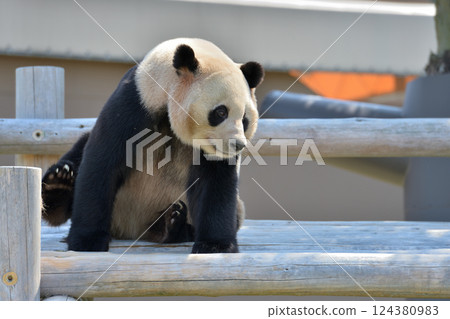 愛濱在遊樂設施放鬆 124380983