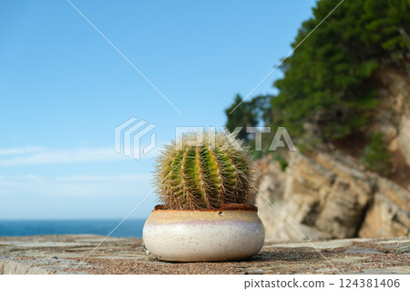 Potted cactus with Mediterranean Sea, coastal cliff, and clear sky in the background. 124381406
