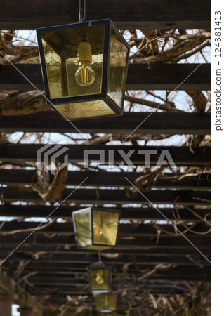 Vintage Lanterns Hanging from a Wooden Pergola, Covered with Old Grape Vines 124381413
