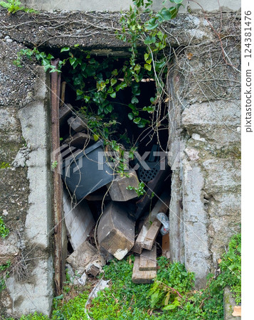 Abandoned Doorway Filled with Debris and Overgrown Plants  124381476