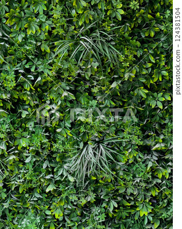 Lush Green Vertical Garden Wall Texture  124381504