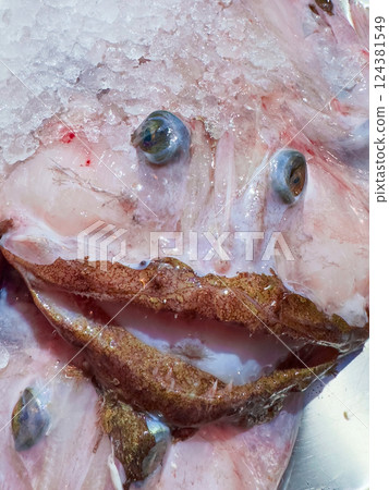 Fresh monkfish on ice at seafood market Fresh monkfish on ice at seafood market 124381549