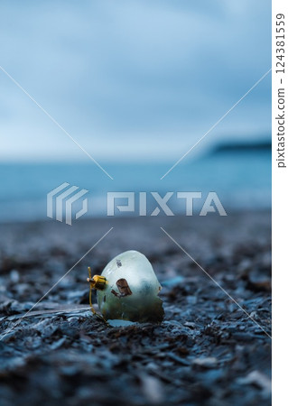 Broken Christmas Tree Ornament Washed Ashore by the Sea, Polluting the Beach 124381559