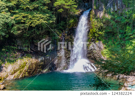 靜岡縣河津町河津七瀑布大瀧 124382224