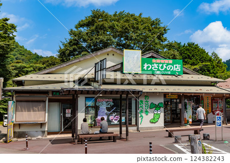Shizuoka Prefecture, Izu City, Roadside Station Amagigoe (Amagi Wasabi Village) 124382243