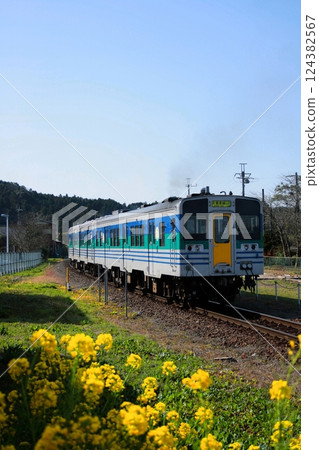 The Kururi Line Kiha 38 diesel railcar leaves the station, seen off by the rape blossoms_2009/3/20 The Kururi Line Kiha 38 diesel railcar leaves the station, seen off by the rape blossoms_2009/3/20 124382567