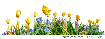 黃色鬱金香和小花剪貼畫（透明背景） 124382594
