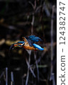 Flight of kingfisher 124382747