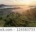 Morning scenery of rice terraces 124383733