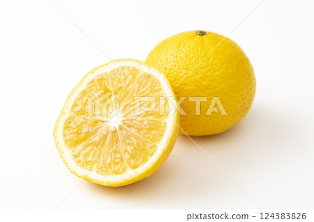 白色背景下的日向夏橘子 白色背景下的日向夏橘子 124383826