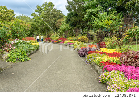 秋天,遊客漫步在大分縣竹田市久住花卉公園的步道上 秋天,遊客漫步在大分縣竹田市久住花卉公園的步道上 124383871