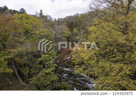 Mountain stream and autumn Mountain stream and autumn 124383975