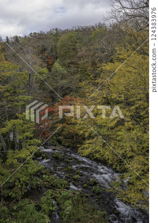 Mountain stream and autumn Mountain stream and autumn 124383976