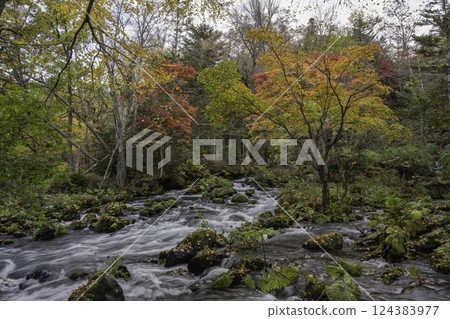 Mountain stream and autumn Mountain stream and autumn 124383977