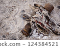 burning bonfire 124384521