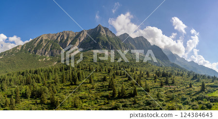 Panoramic View of Majestic Mountain Range and Verdant Valley Panoramic View of Majestic Mountain Range and Verdant Valley 124384643