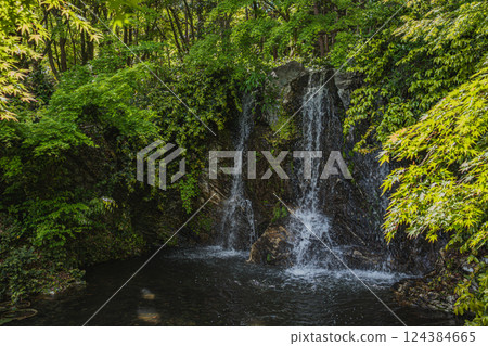 A waterfall that stands out against the fresh greenery of autumn at Hamamatsu Castle Park in Hamamatsu City (Shizuoka Prefecture) A waterfall that stands out against the fresh greenery of autumn at Hamamatsu Castle Park in Hamamatsu City (Shizuoka Prefecture) 124384665