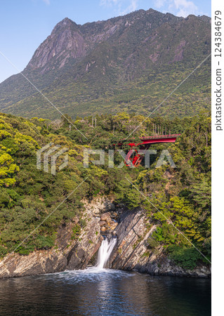 World Natural Heritage Mt. Mochomu and Toroki Falls, Yakushima (Spring) 124384679