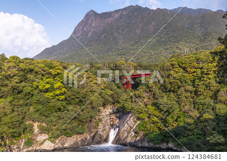 World Natural Heritage Mt. Mochomu and Toroki Falls, Yakushima (Spring) 124384681