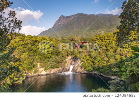 世界自然遺產 屋久島莫喬穆山和托羅基瀑布（春季） 124384682