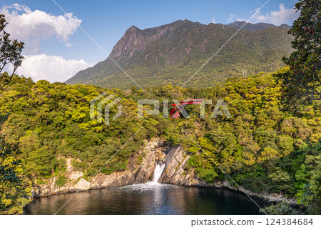 World Natural Heritage Mt. Mochomu and Toroki Falls, Yakushima (Spring) 124384684