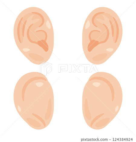 Ear illustration set 124384924