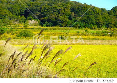 秋天的風景 秋天的風景 124385702