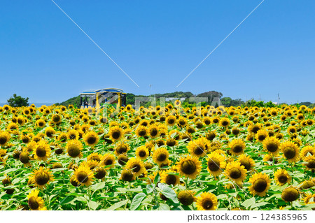 Yokosuka City Soleil Hill 124385965