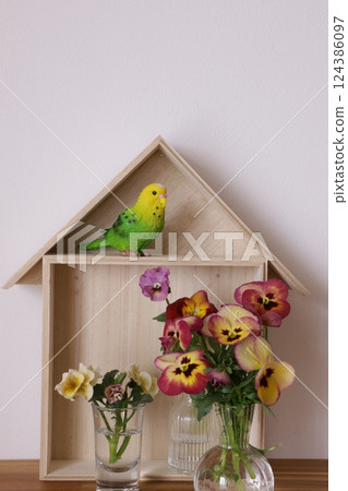 Pansy 124386097