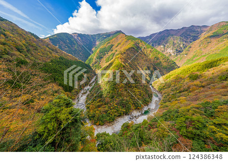 [德島] 日野寺溪谷 [秋季] 124386348