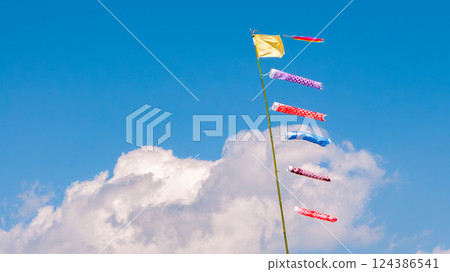 天空中游動的小鯉魚旗 5 124386541