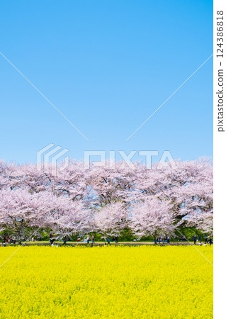 Gyodo神社 124386818