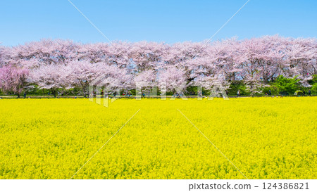 Gyodo神社 124386821