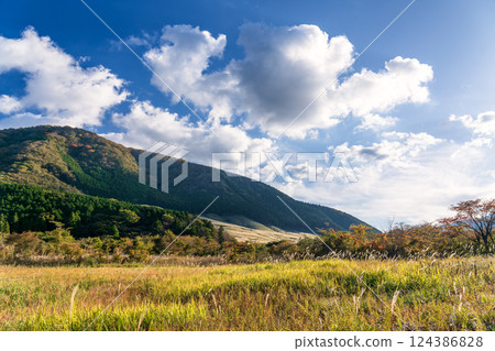 神奈川縣箱根：仙石原芒草草原和仙石原濕地的秋季 124386828
