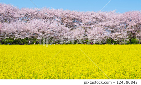 Gyodo神社 124386842