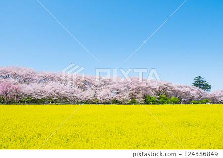 Gyodo Shrine Gyodo Shrine 124386849