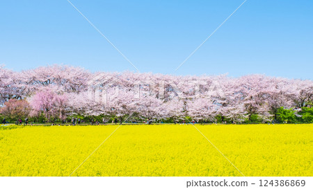 Gyodo Shrine 124386869