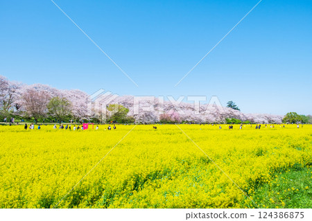 Gyodo神社 Gyodo神社 124386875