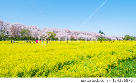Gyodo Shrine 124386876