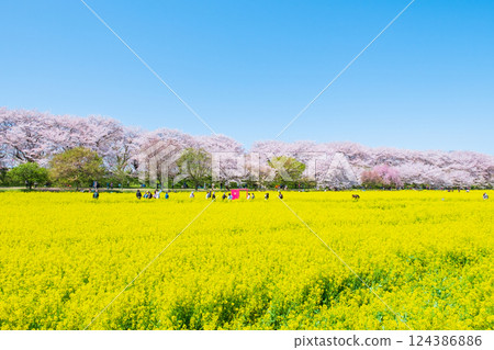 Gyodo神社 124386886