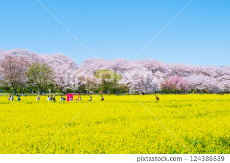 Gyodo神社 Gyodo神社 124386889