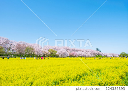 Gyodo Shrine 124386893