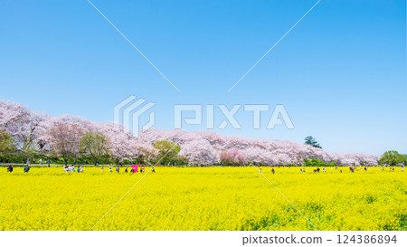 Gyodo Shrine 124386894