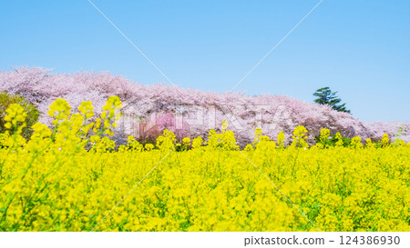 Gyodo Shrine Gyodo Shrine 124386930