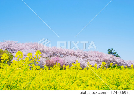 Gyodo Shrine Gyodo Shrine 124386933