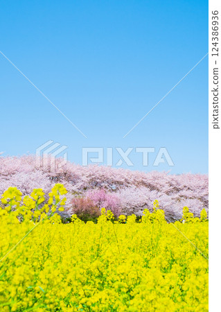 Gyodo神社 124386936