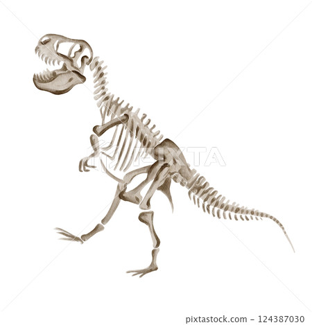 Dinosaur rex. Theranosaurus skeleton. Ancient fossil. Museum exhibit. Jurassic time. Watercolor illustration isolated from background. Hand drawing. Predator skull. Vintage. High quality illustration Dinosaur rex. Theranosaurus skeleton. Ancient fossil. Museum exhibit. Jurassic time. Watercolor illustration isolated from background. Hand drawing. Predator skull. Vintage. High quality illustration 124387030