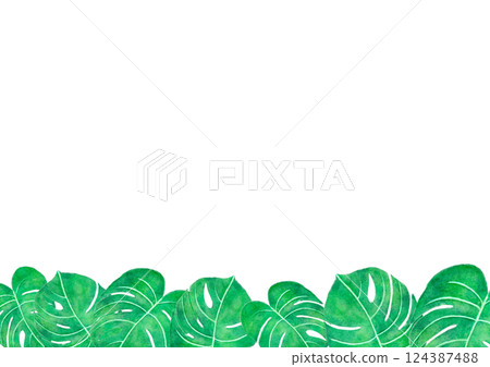 Background frame with monstera leaves on a white background Background frame with monstera leaves on a white background 124387488